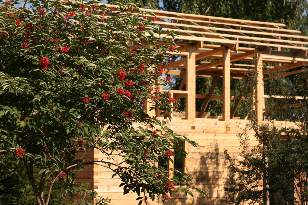 Loc Annonce - La plateforme de logements qui travaille en collaboration avec les artisans